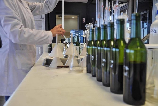 Winemaker for a Day. Learn How to Make Your Own Wine - Grape Crushing Experience