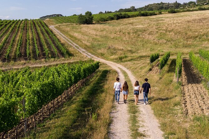 Winery Tasting Tour in Montepulciano: Only for Wine Lovers: - Itinerary Details