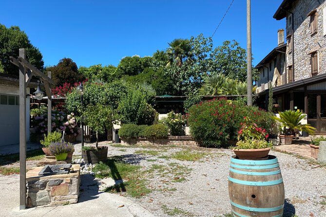 Winery Tour and Tasting in Grado - Accessibility and Additional Info