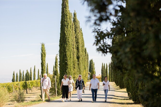Winery Tour & Gourmet Tasting in Montalcino - Wine Tasting Experience