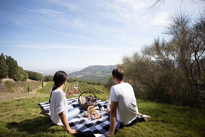Winery Tour & Picnic in the Vineyard With a Bottle of Wine - Meeting Point and Directions
