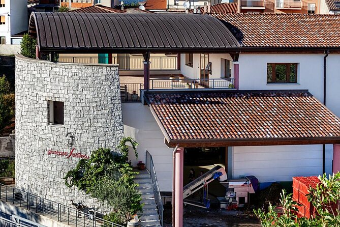 Winery Tour With Wine and Food Tasting in Nuoro - Experience Details