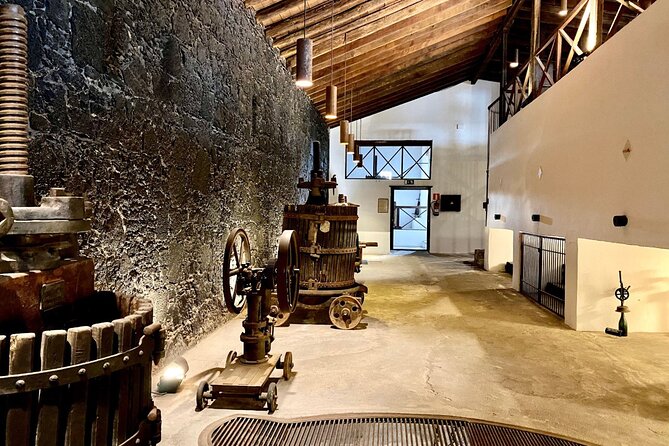 Winery Visit and Tasting in Lanzarote - Accessibility and Meeting Location