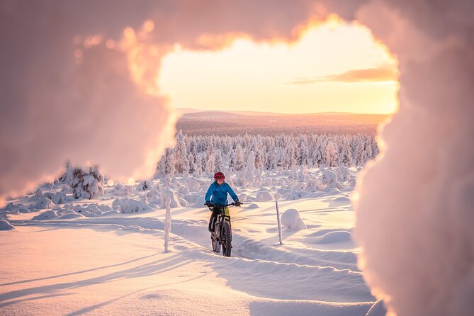 Winter Afternoon Group Ride in Saariselkä - Meeting and Pickup Details