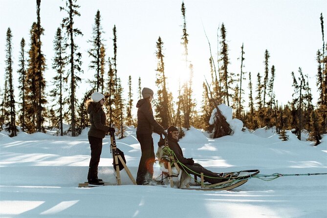 Winter Dog Sled Tour: Day or Night. - Inclusions and Exclusions