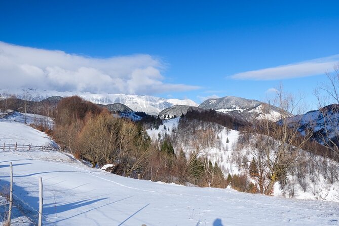 Winter Hiking Tour Carpathian Mountains - Pickup Information