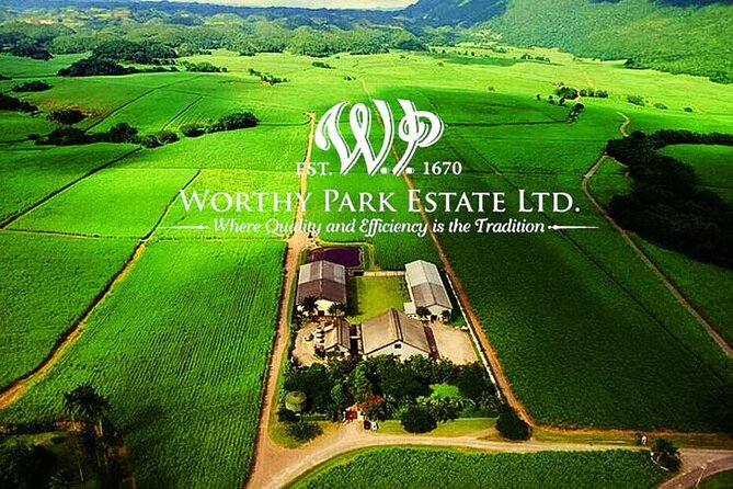 Worthy Park Estate Rum Private Tour - The Rum-Making Process Unveiled