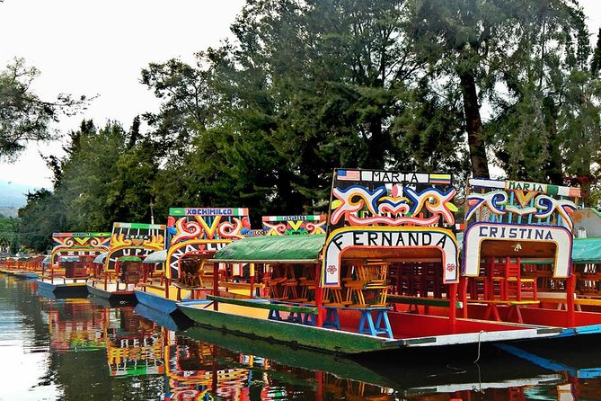 XOCHIMILCO & COYOACAN (Private) - Accessibility and Participation