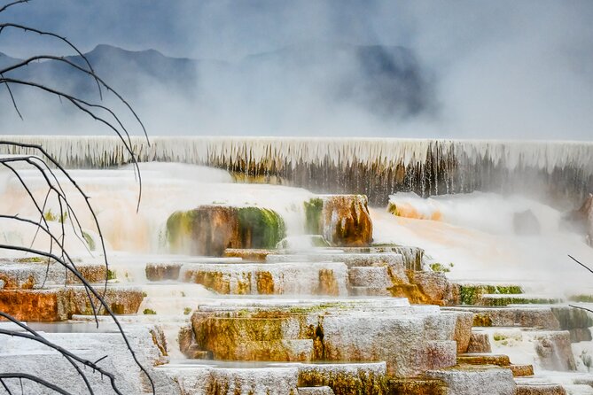 Yellowstone & Grand Teton National Parks Private Winter Tour 5-Day - Pickup and Drop-off Details