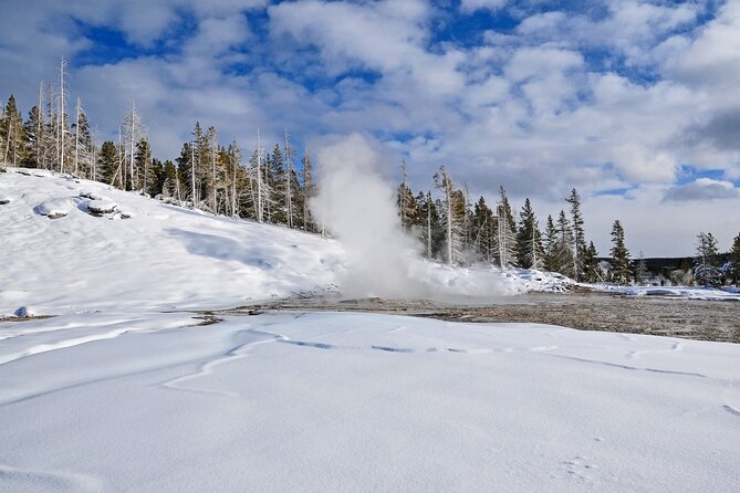 Yellowstone, Grand Teton & Utah Mighty 5 Winter Tour: Small Group 9-Day Tour - Inclusions and Accommodations
