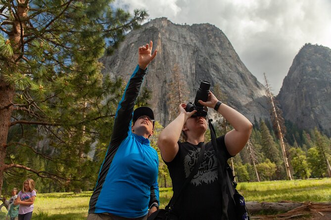 Yosemite Valley Full Day Small Group Tour - Itinerary Overview