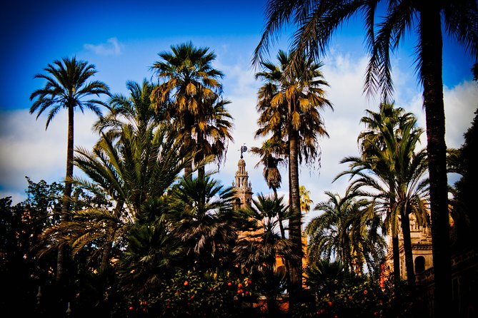 Your First Day in Sevilla. - Soaring Seville Cathedral