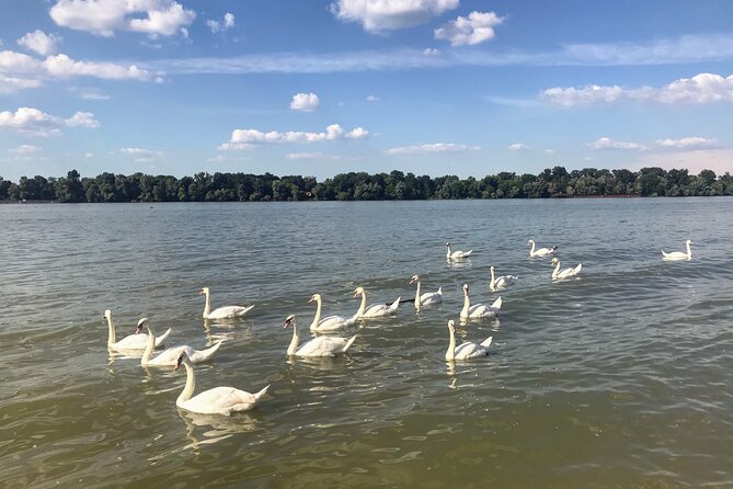 Your Own Belgrade: Unexpected Treasures of the City - Savoring the Local Cuisine