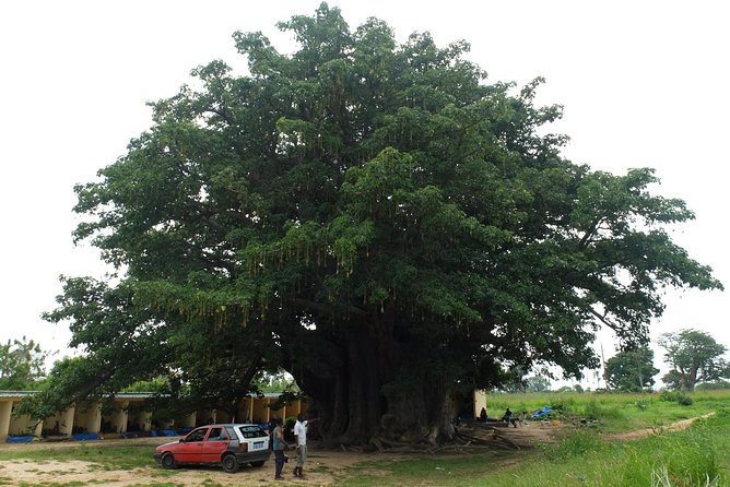 Your Private Driver & Tour Guide in Senegal-The Shell Island - Accessibility and Health