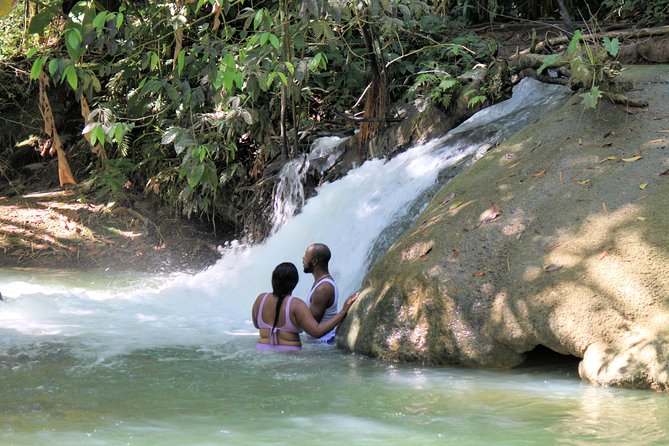 YS Falls and Sightseeing Tour Day Adventure - Attractions and Activities