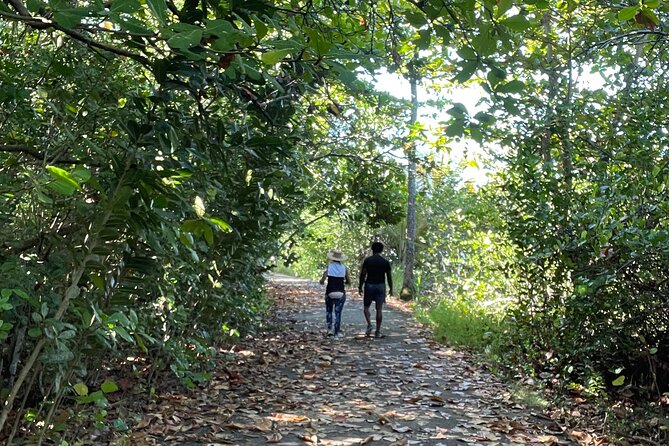 Yunque & Piñones Tour Hike Eat & Adventure With a Local; San Juan - Fitness and Accessibility Requirements