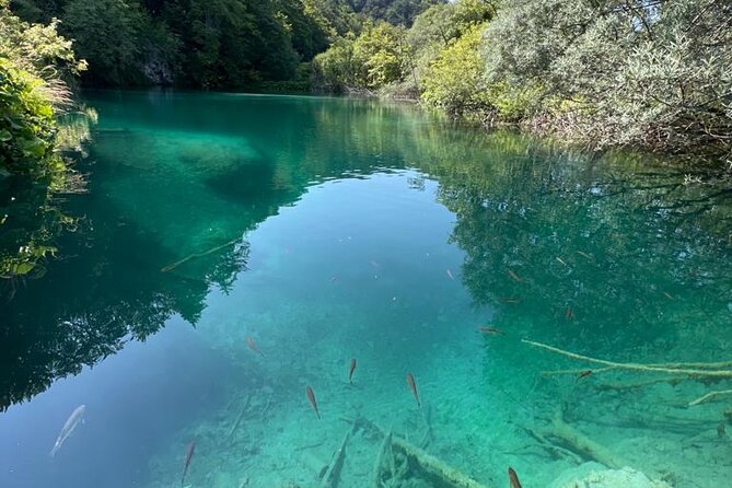 Zagreb: Plitvice Lakes With Secured Tickets, Boat And Train Ride - Comfortable Transportation to the Lakes