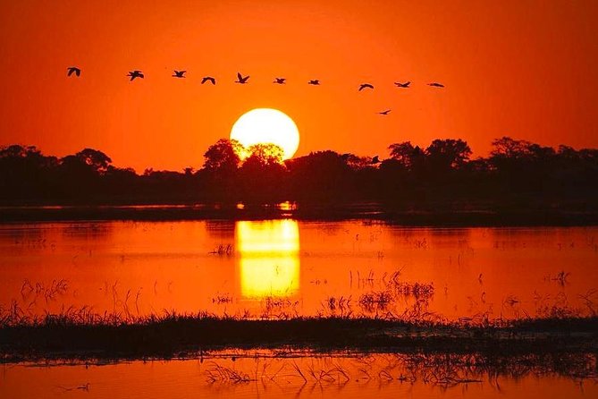 Zambezi River Sunset Cruise - Meeting and Pickup Details