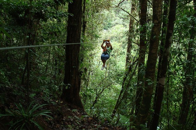 Zip Lining Adventure From San José - Participant Requirements
