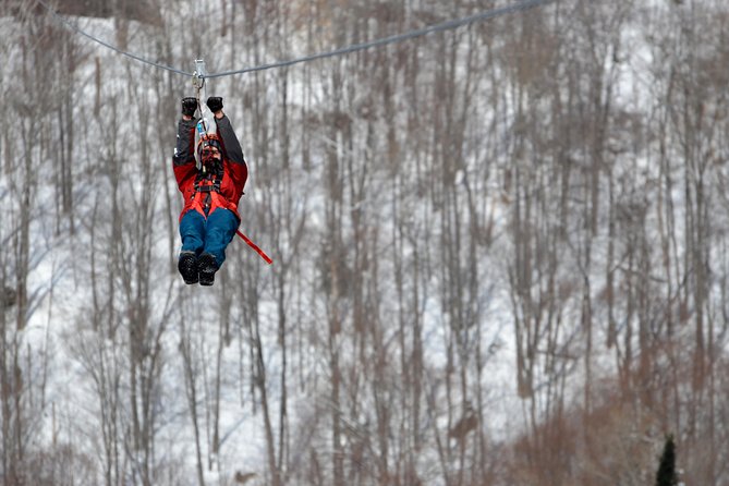Ziplines and Hike Mont Tremblant (2h) - Zipline and Snowshoe Itinerary