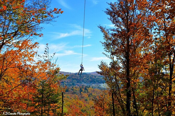 Ziplines Over Laurentian Mountains at Mont-Catherine - Safety and Equipment