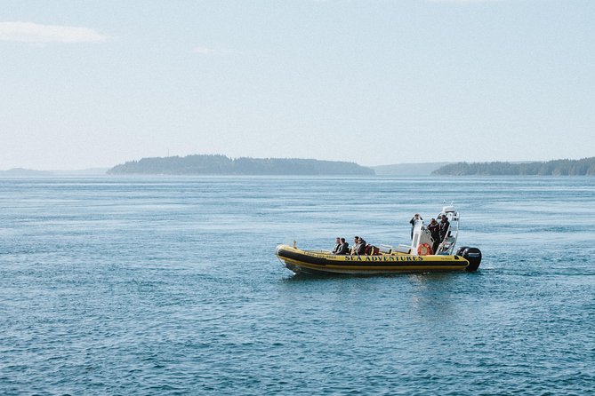 Zodiac Whale Watching Adventure From Telegraph Cove - Meeting Point Information