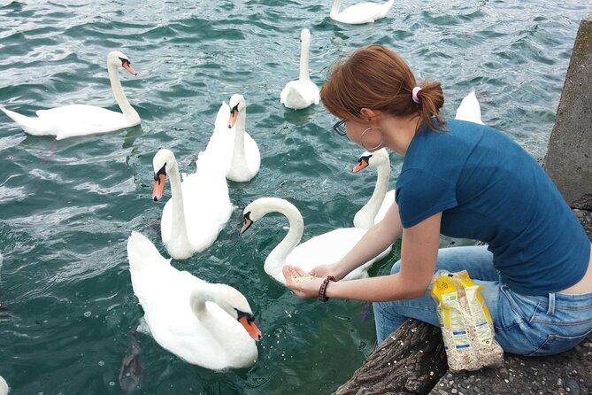Zurich Private Walking Tour With a Local Guide - Meeting and Pickup