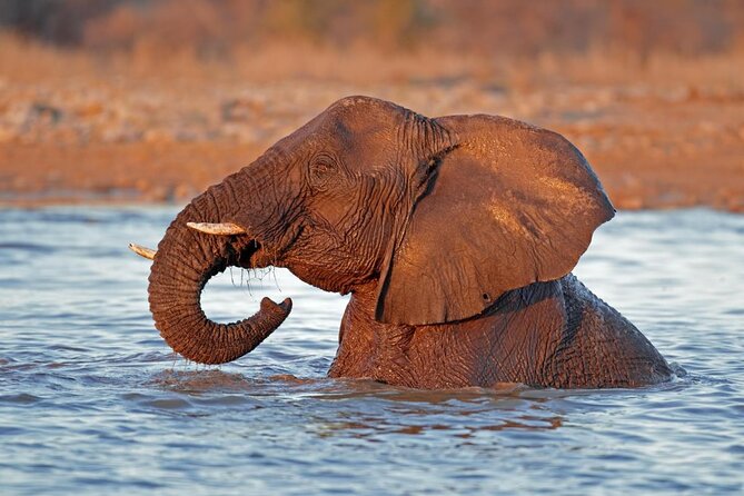 3 Day Etosha Budget Camping Safari - Good To Know