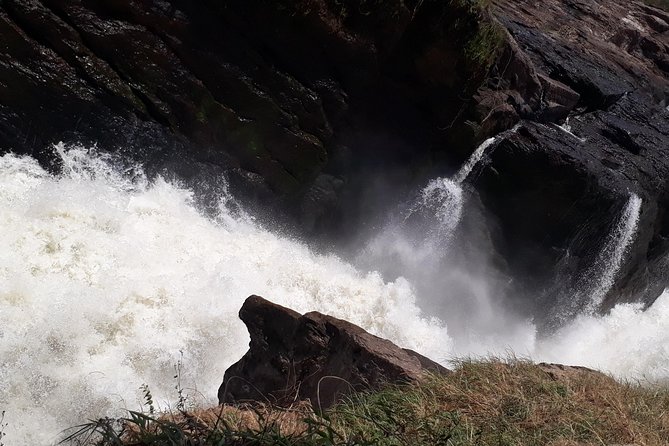 3 Day Private Safari to Murchison Falls National Park With Big Five Experience - Good To Know