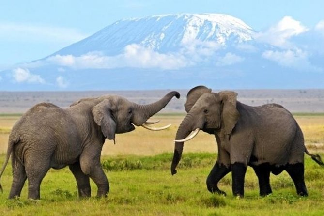 3 Days 2 Nights Amboseli Safari - Good To Know