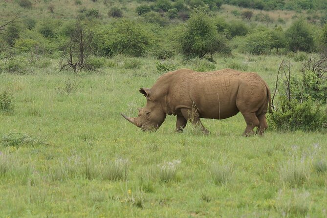 3-Days 2-nights Tanzania Private Budget Camping Safari - Good To Know