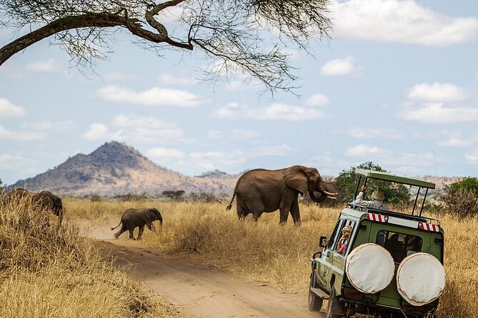 3 Days Ngorongoro & Serengeti Fly in Safari - Good To Know