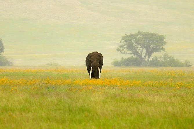 3 Days Northern Tanzania Adventure Camping Safari