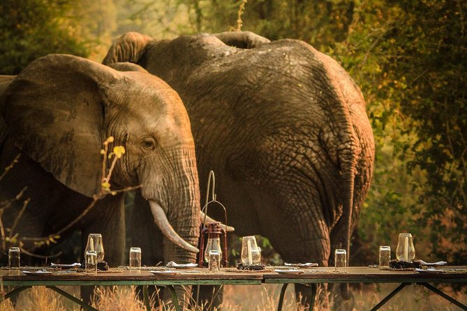 3 Days Safari - Mikumi National Park - Good To Know