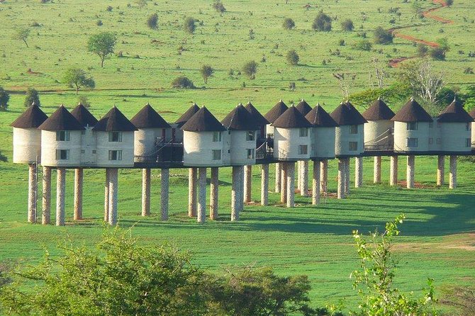 3 Days Safari Tsavo East and Taita Hills (Saltlick Lodge) - Good To Know