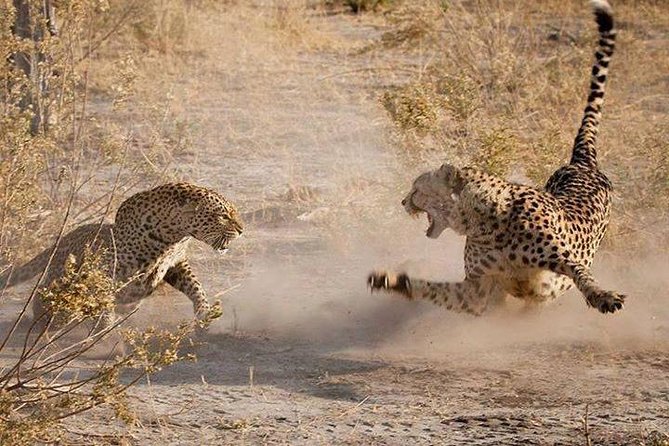 3 Days Serengeti National Park From Zanzibar - Inclusions and Exclusions