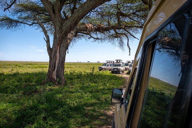 3 Days Serengeti & Ngorongoro Group - Good To Know