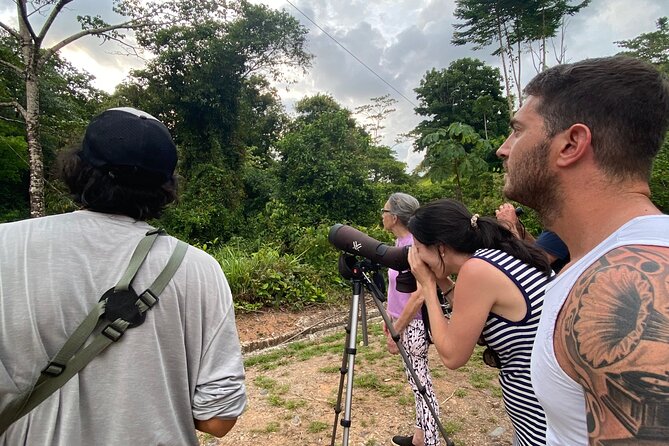 3-Hour Private Birdwatching Experience in Uvita / Ojochal - Good To Know