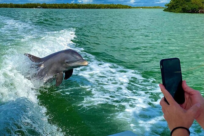 3 Hour Private Dolphin & Shelling Tour - Good To Know