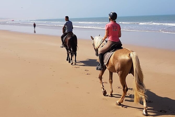 3-Hour Private Ride Between Beach and Dunes - Good To Know