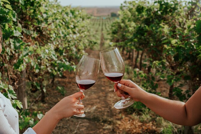 3-Hour Vineyard Wine Tour With Tasting - About Your Stay