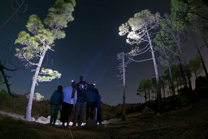 3-Hours Astronomy Hiking Experience in Roque Nublo Mountains - Activity Options