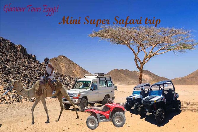 3 Hours Mini Super Safari - Good To Know