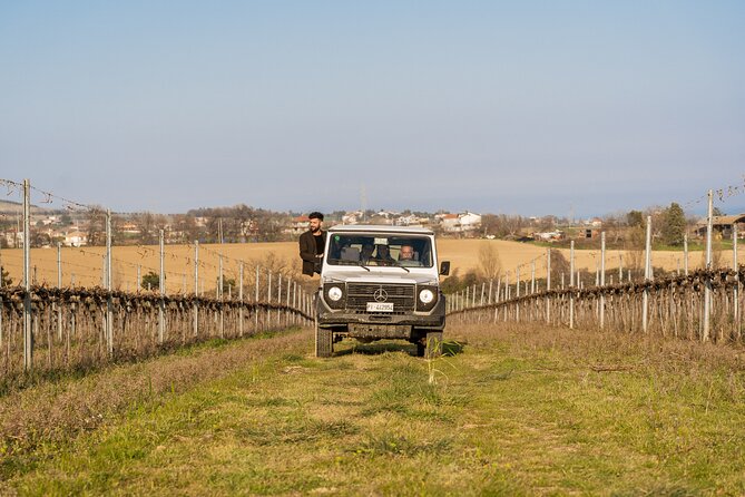 3-Hours of Activities With Safari Grand Tour and Tasting in Vineyards - Tour Group Size and Accessibility