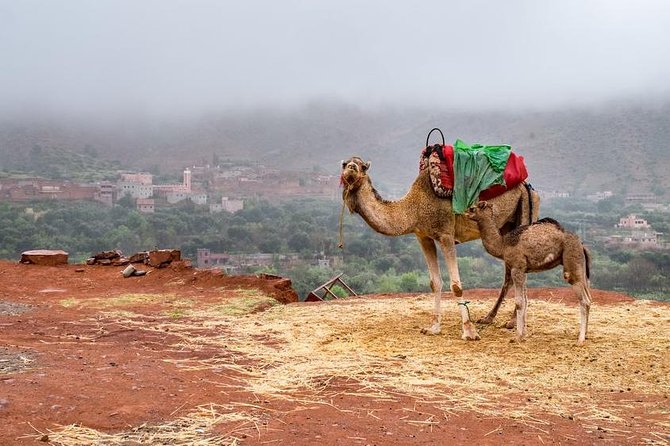 3 Valleys Atlas Mountains Berber Villages & Agafy Desert - Good To Know
