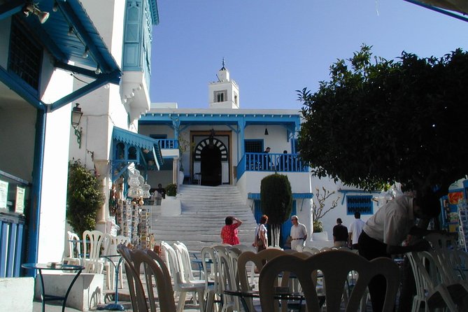 1/2 Day Carthage & Sidi Bou Said - Accessibility Information