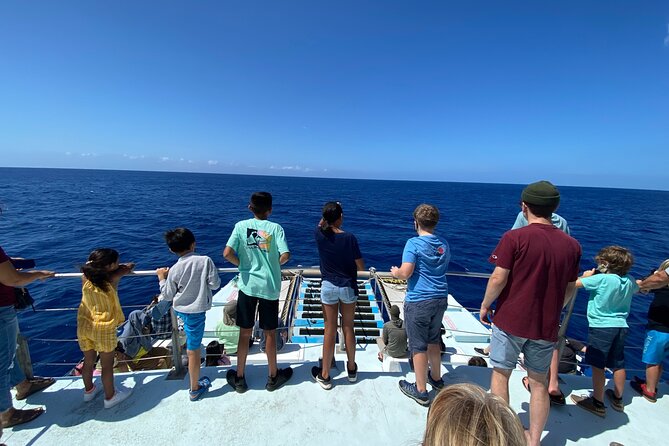 1.5 Hour Whale Watching Cruise With Pick-Up and Drop-Off - Accessibility and Participation