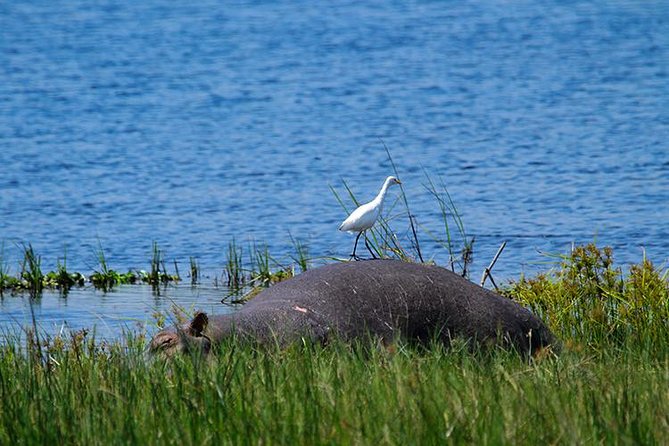 1 Day Akagera Wildlife Safaris Rwanda (2 Pax Min) - Pickup Information