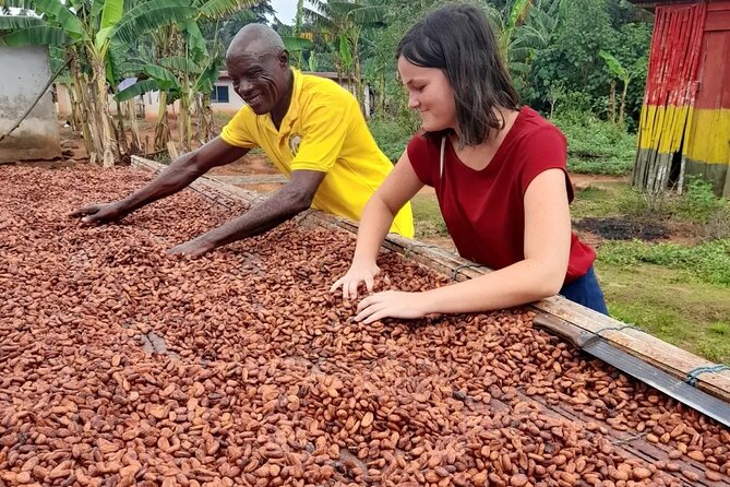 1 Day Cocoa Farm Tour - Cocoa Cultivation Practices
