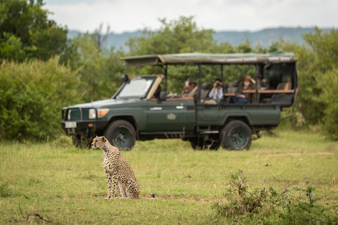 1-Day Fly in Safari to Mikumi National Park From Zanzibar - Meeting and Pickup Details